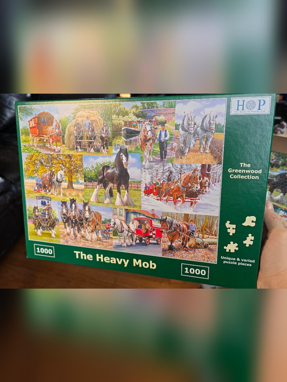 House of Puzzles 1000 pieces